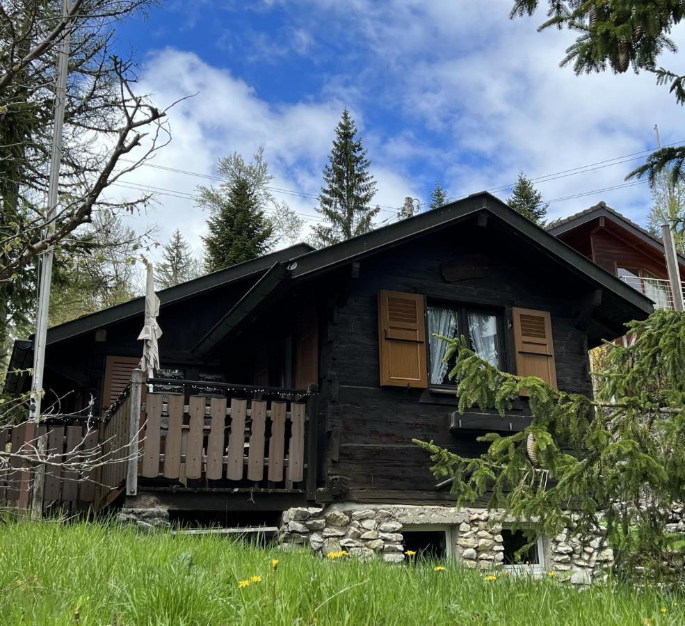 Entire Cozy Chalet In St-Cergue - 30 Min From Geneva Saint-Cergue Luaran gambar
