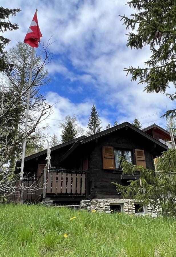 Entire Cozy Chalet In St-Cergue - 30 Min From Geneva Saint-Cergue Luaran gambar